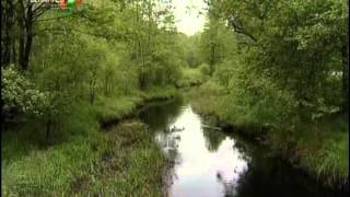 картинка: Все путем - Мы едем в Туров [3]