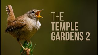 Beautiful Calming Music With Wind Chimes and Nature Sounds - The Temple Gardens 2