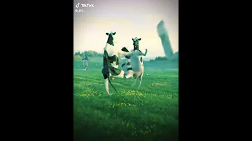 حسوني سوني حسوني سوني 