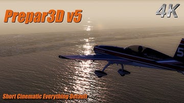 Prepar3D v5 Cinematic Using Everything Default