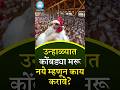 उन्हाळ्यात कोंबड्या मरू नयेत म्हणून काय करावे ? #khetibadi #education #farmer #viral #shorts