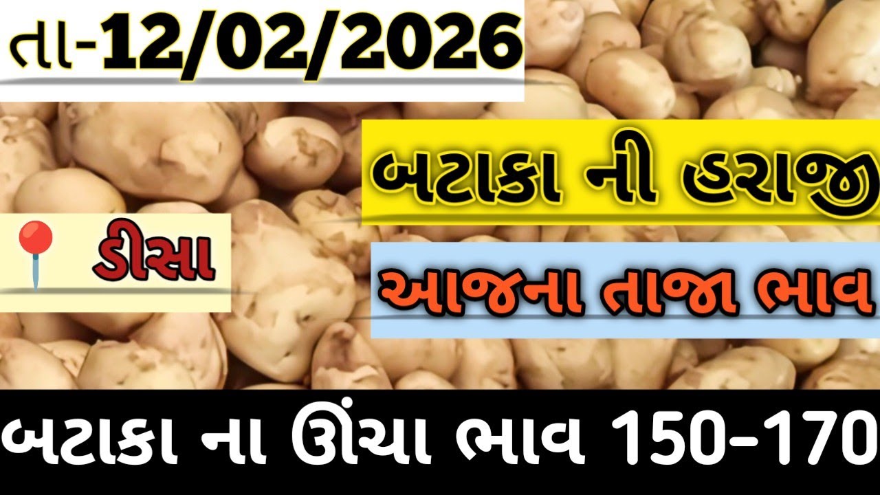 બટાકા ની હરાજી//Deesa bataka ni haraji//आलु मंडी #deesa #potato #aalu #new #farming #viralvideo 