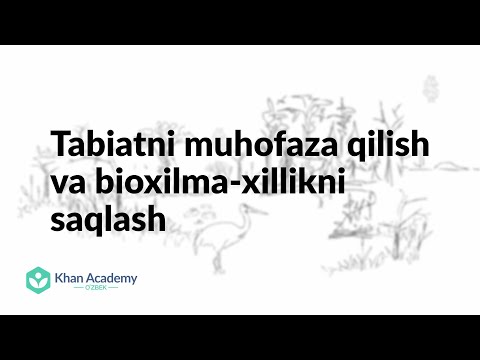 Video: Tabiatni saqlash biologik xilma-xillikka qanday ta'sir qiladi?