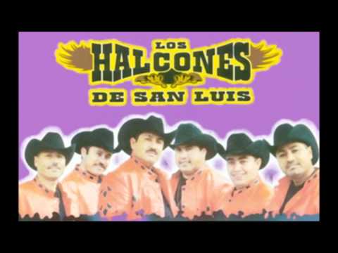 los halcones de
