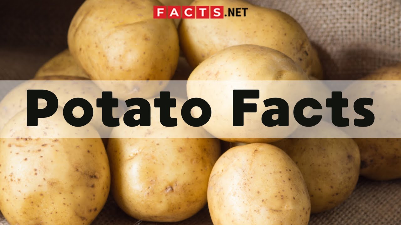 Ten Interesting Facts About Potatoes by BloominThyme