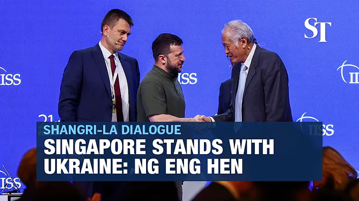 Singapore stands with Ukraine: Ng Eng Hen | Shangri-La Dialogue - DayDayNews