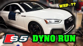 400HP Stage 2 B9 Audi S5 Goes to the DYNO  Guess the WHP?