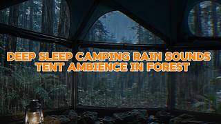Deep Sleep Camping Rain Sounds – Tent Ambience in Forest