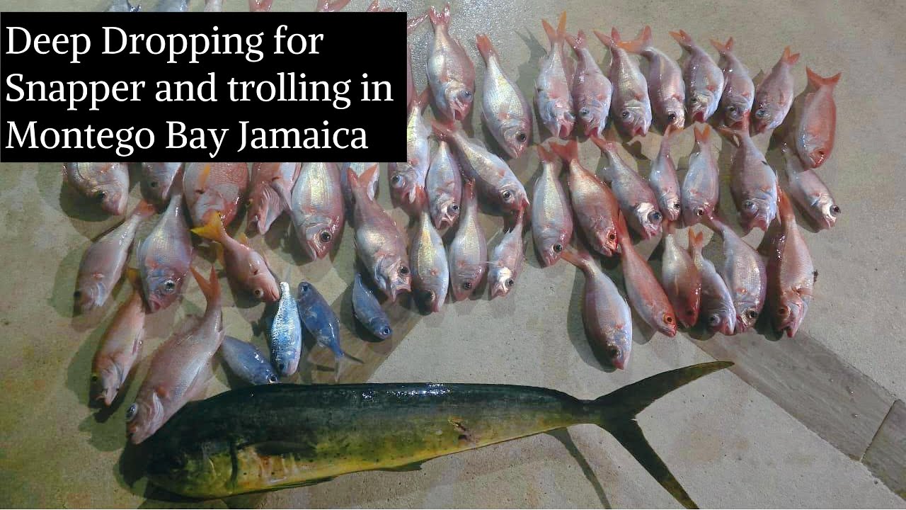 Deep Dropping for Snapper in Montego Bay Jamaica