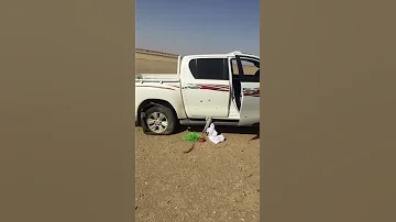 فعل ال محمد من سبيع في الدواسر بعد اعتدوا عليهم 
