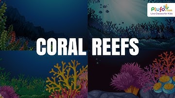 Exploring the Coral Reef: Learn about Oceans for Kids | Educational Videos for Toddlers | Aol
