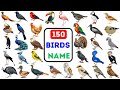 Birds Vocabulary 150 Birds Name In English With Pictures L Birds Name Sound English Vocabulary 