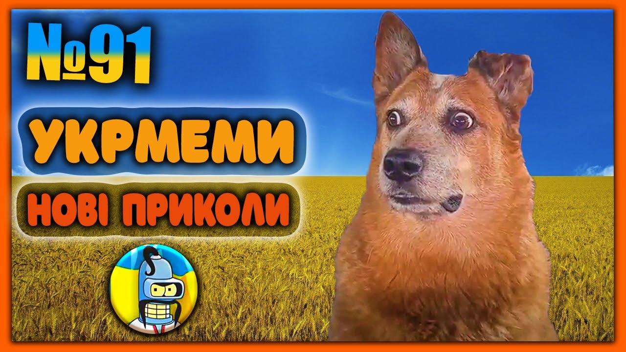 91-youtube