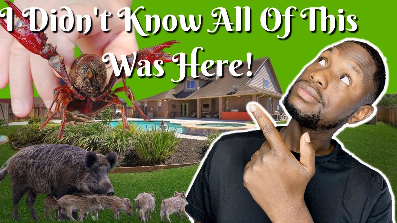 Neighborhoods And Environment In Mont Belvieu TX