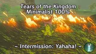 Tears of the Kingdom Minimalist 100% - Intermission: Yahaha!