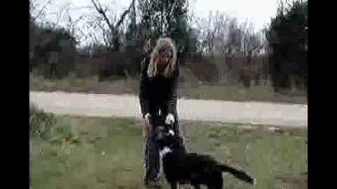 Heeling Video