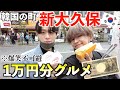 【1万円企画】韓国の街"新大久保"で1万円分食べ切るまで帰れません!!!!【먹방・モッパン】