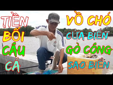 Video CÂU CÁ BIỂN GÒ CÔNG CÂU CÁ VỒ BIỂN,CÂU CÁ NGÁT,CỬA... - youtube