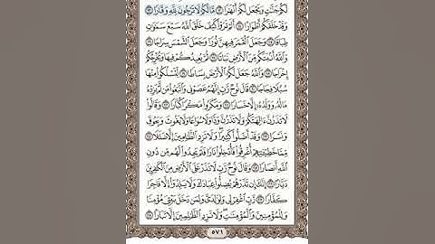 سورة نوح