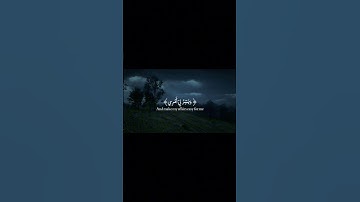 ﴿ قَالَ رَبِّ اشْرَحْ لِي صَدْرِي﴾[ سورة طه: 25]#أحمد_خضر #قرآن #quran