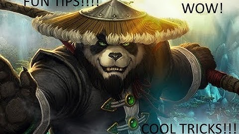 WoW character creation guide