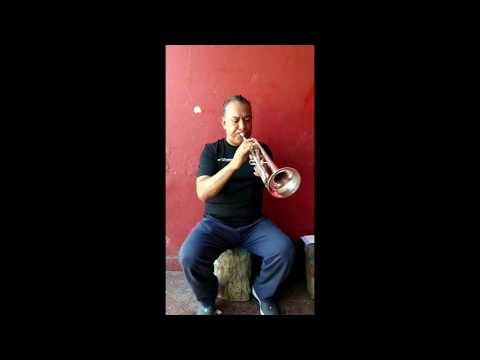 Las Alazanas Tutorial Trompeta Las Alazanas Tutorial Trompeta
