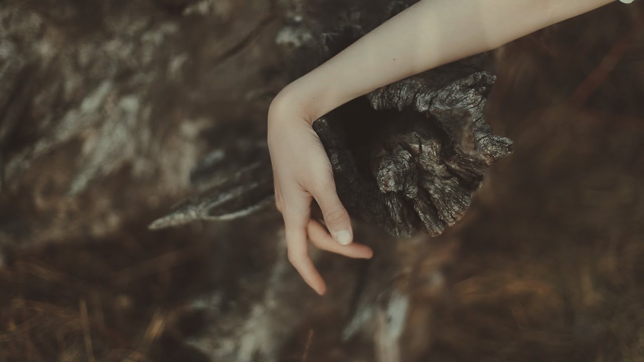 Your Schizophrenia - Autumn Wasteland