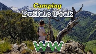 Buffalo Peak: A Father-Son Campout