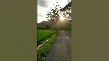 Yang fana adalah waktu, kita abadi - Sapardi Djoko Damono #puisi #sapardidjokodamono