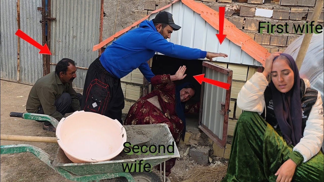 Is life in a nest possible? A life of competition and jealousy