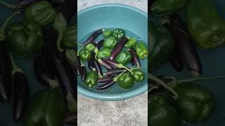 Recipe of fried Brinjal and Capsicum !! Prema ki Rasoi ️