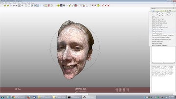 Merge 3D Scan of Face in MeshLab