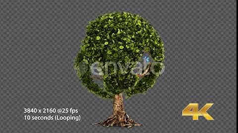 Earth Globe Tree (4K) | Motion Graphics - Envato elements