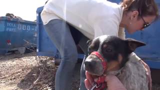 PLEASE LIKE, COMMENT, SHARE AND SUBSCRIBE CHANNEL!!! Thank You So M...