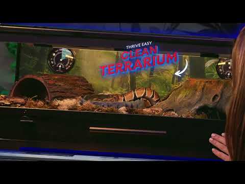Creature Cribs Ball Python :15 - Creature Cribs Ball Python :15