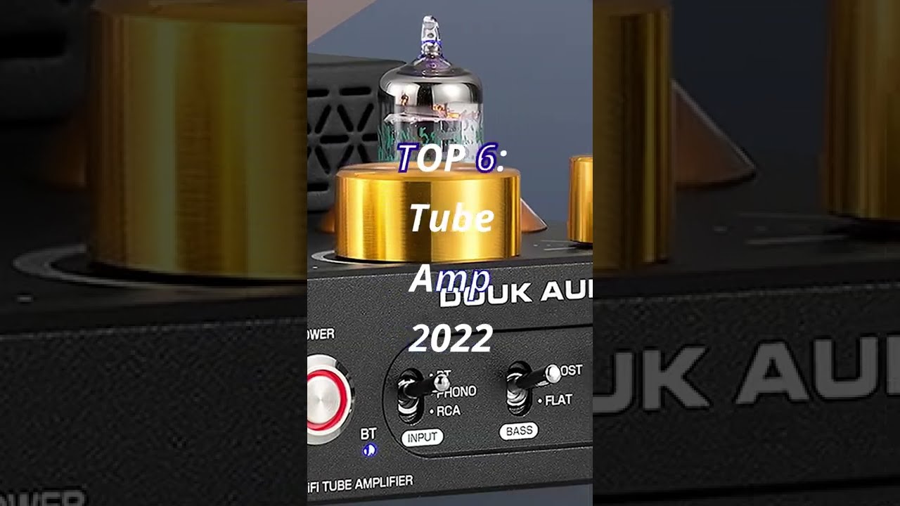 TOP 6 Tube Amp For 2022 Our Best Picks 