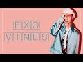 EXO vines to watch on your way to Jurazil Park