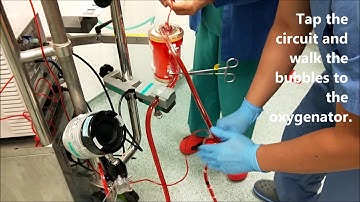 ECMO Troubleshooting: Air Embolism