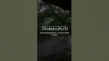 🌿 والله يدعو إلى دار السلام 🕊 | سورة يونس بصوت سلمان المطيري