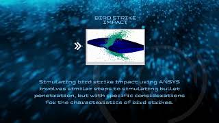 Ansys Explicit Dynamics for Bird Strike