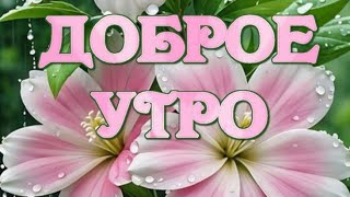 Прекрасного Весеннего Настроения😊💗 Доброе Утро 💖💚