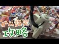 子供機でガムを取りまくる！【UFOキャッチャー】