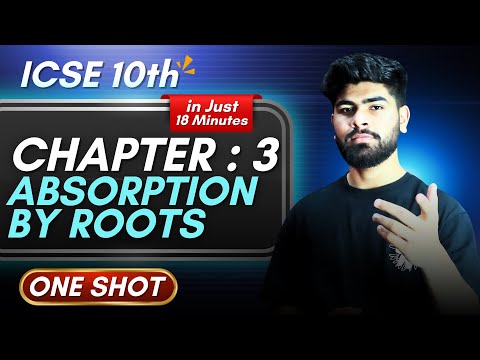 Biology Chapter 3