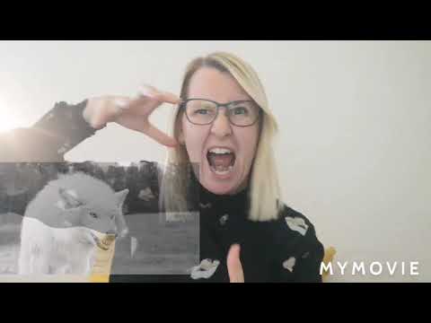 Video: Hvem er tyr i nordisk mytologi?