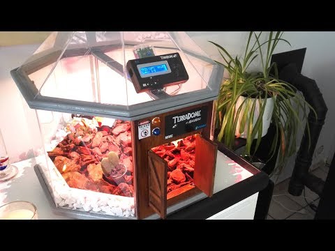 TerraDome : fabriquez une mini serre tropicale avec Arduino