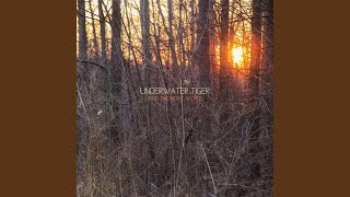 My Own Skin (Bonus Track) Profile