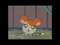 هل تعرفون من هو هامتارو هههههه هل تعرفون من هو هامتارو هههههه