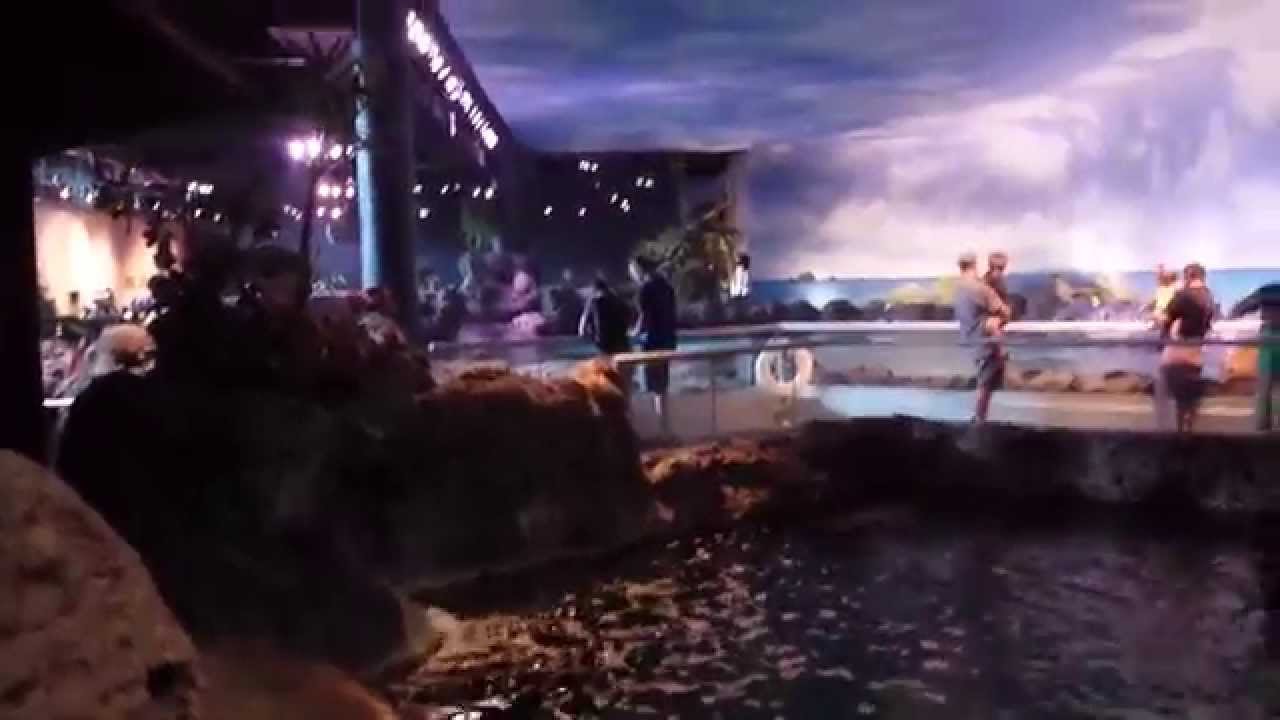 RIPLEY'S AQUARIUM ! - MaxresDefault