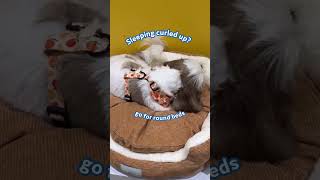 Does your furbaby curl up or sprawl Find their perfect bed at Pet Express