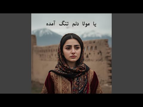 یا مولا دلم تنگ آمده